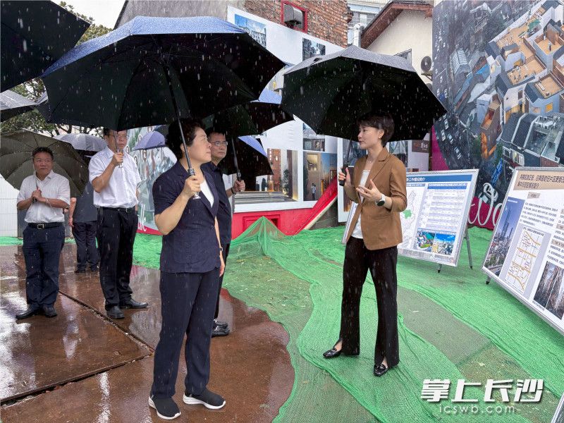 吴桂英在芙蓉区调研城市更新工作。
