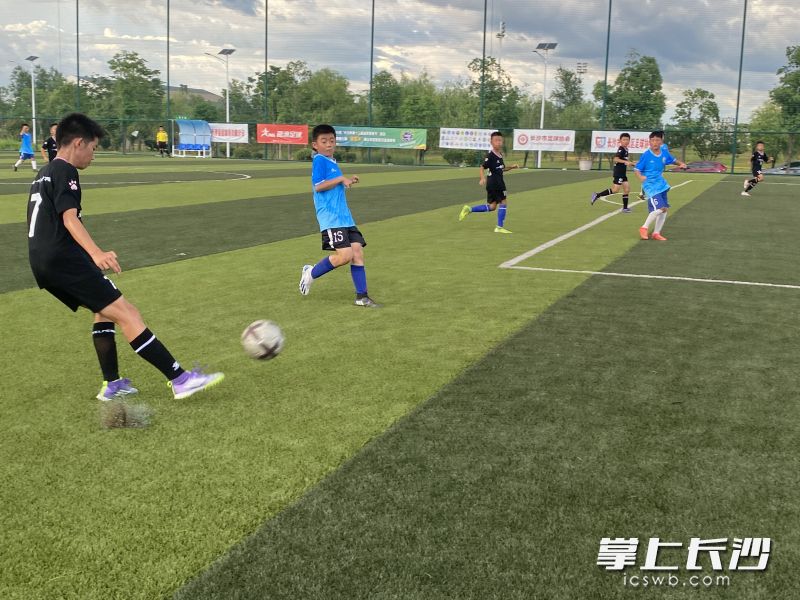 小球员们在比赛中。 均为长沙晚报通讯员张家国供图