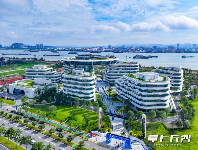 大泽湖海归小镇。 长沙晚报全媒体记者 邹麟 摄 大泽湖海归小镇。 长沙晚报全媒体记者 邹麟 摄