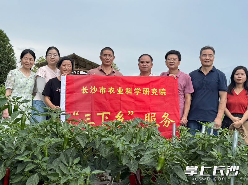 长沙市农业科学研究院开展农业科技“三下乡”服务。