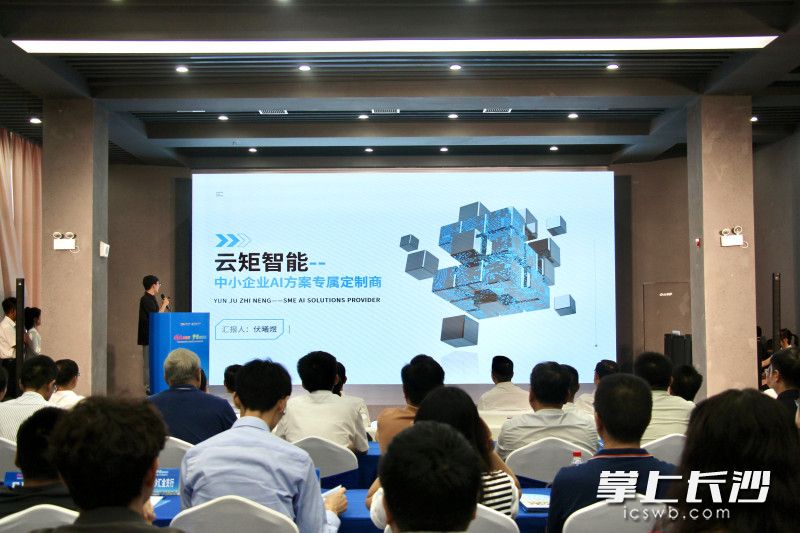青年人才创业项目展示。