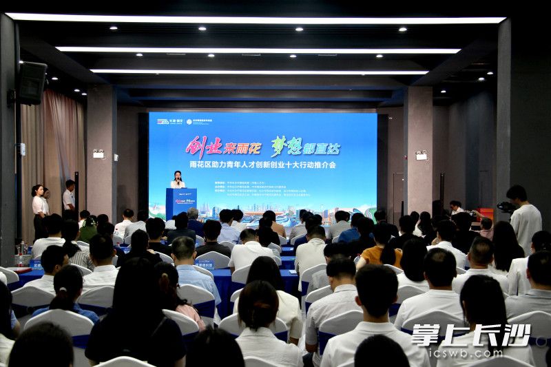 雨花区助力青年人才创新创业十大行动推介会举行。 长沙晚报通讯员 刘佳妮 摄