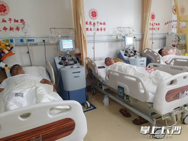 7月25日，3名分别来自湘西、常德、永州的湖南热血男儿，在长沙完成了造血干细胞捐献。 长沙晚报全媒体记者 林暘 摄