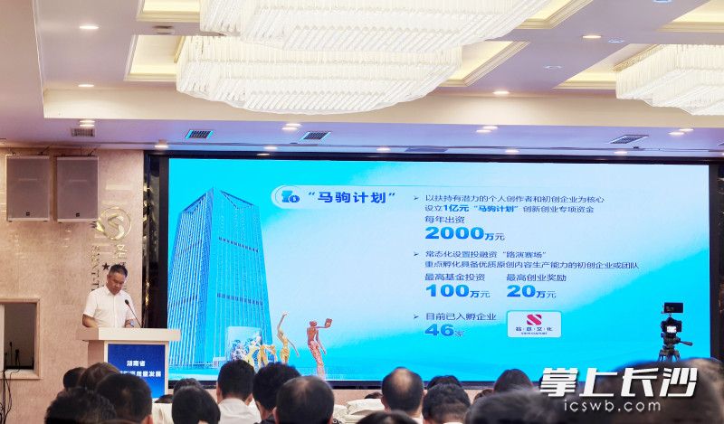 会议现场，园区正推介微短剧扶持政策。