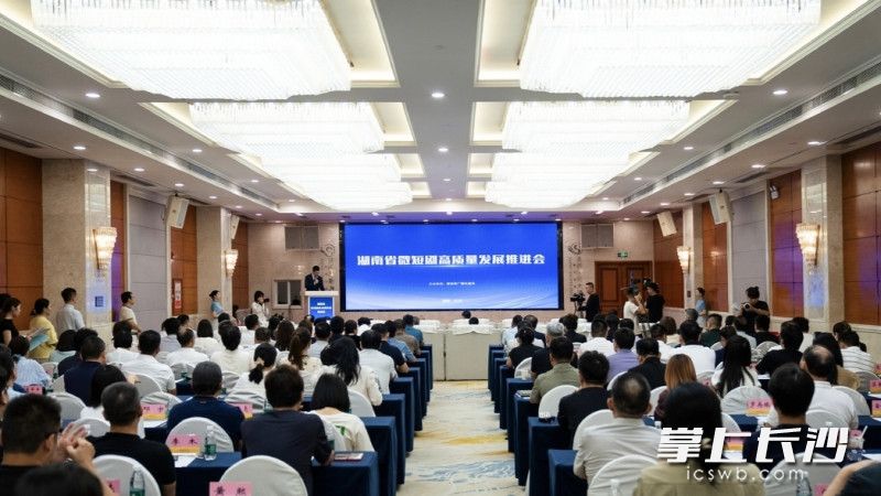 会议现场。 均为通讯员供图
