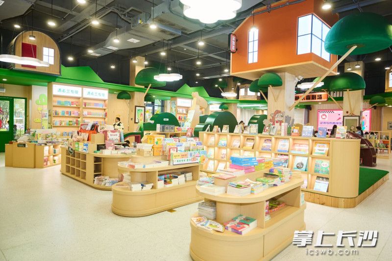 笨狼家林木森书店的林木森剧场如同森林里的独栋小屋
