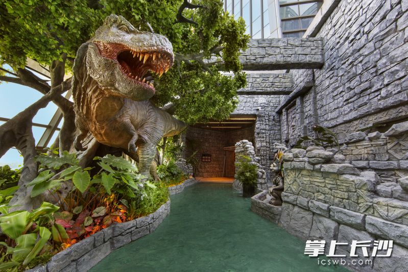 去年试水的玛雅之城项目大获好评。受访方供图