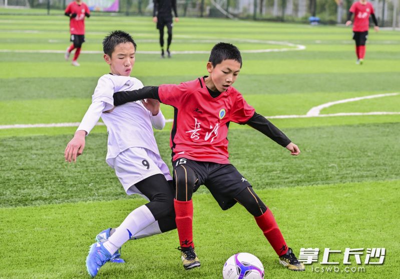 2月份于长沙举行的长沙地区海选赛。 长沙晚报全媒体记者 余劭劼 摄