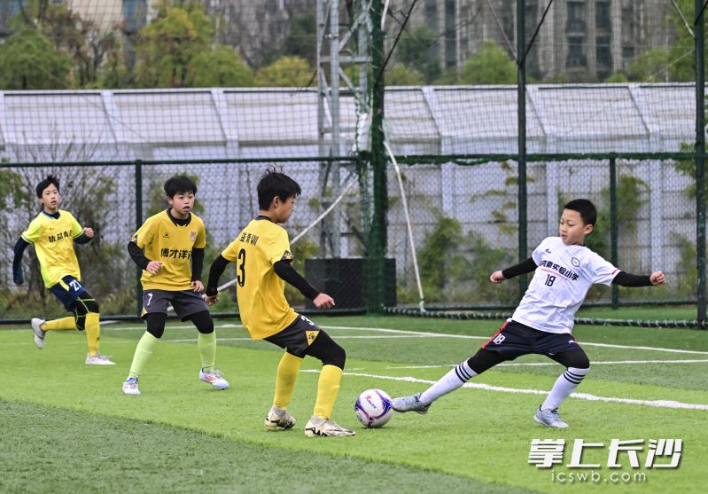 2月份于长沙举行的长沙地区海选赛。 长沙晚报全媒体记者 余劭劼 摄