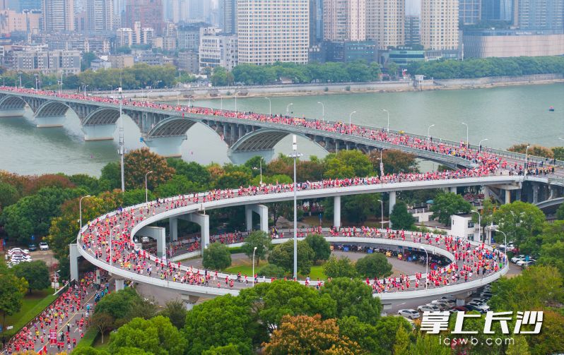 2024长沙马拉松盛况。 长沙晚报全媒体记者 邹麟 摄