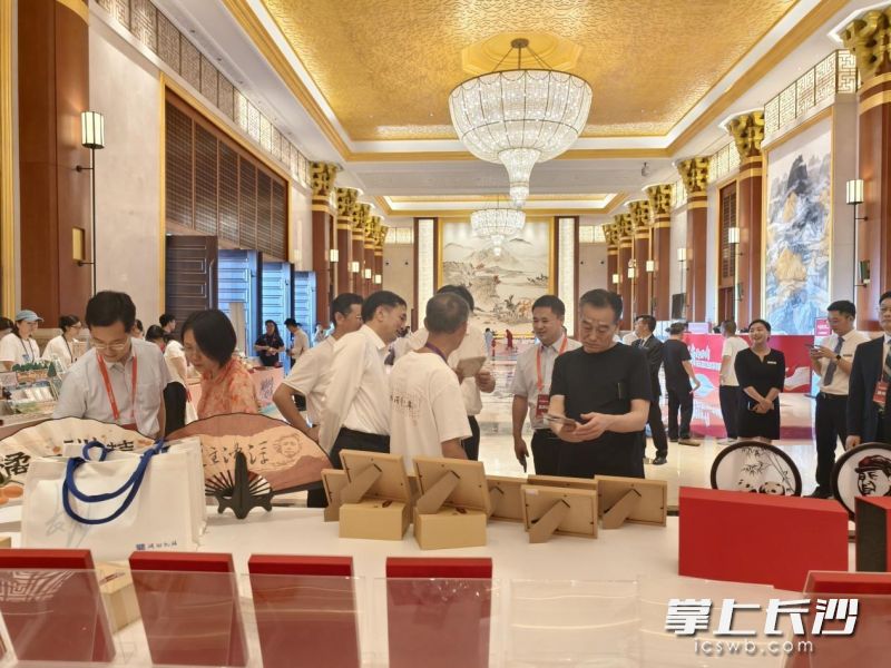 嘉宾参观展台。均为长沙晚报通讯员 周紫仪 摄