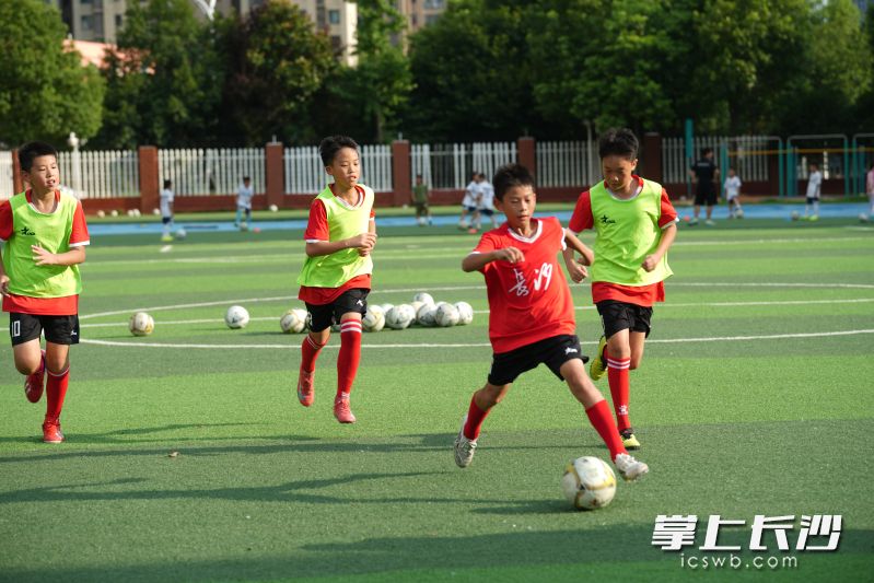 博才洋湖小学五年级足球队在训练中。 均为长沙晚报全媒体记者邹麟、周数邑摄