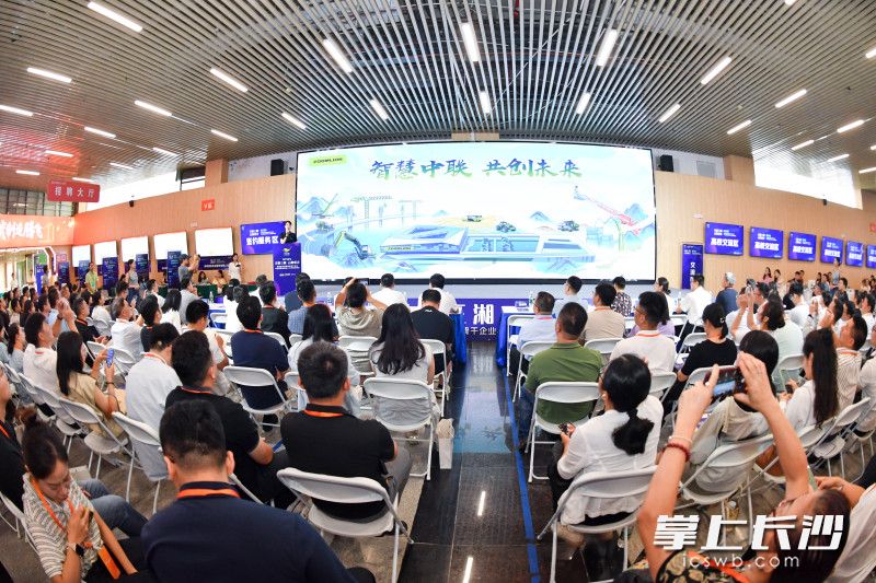 对接会现场。 均为长沙晚报全媒体记者王志伟摄