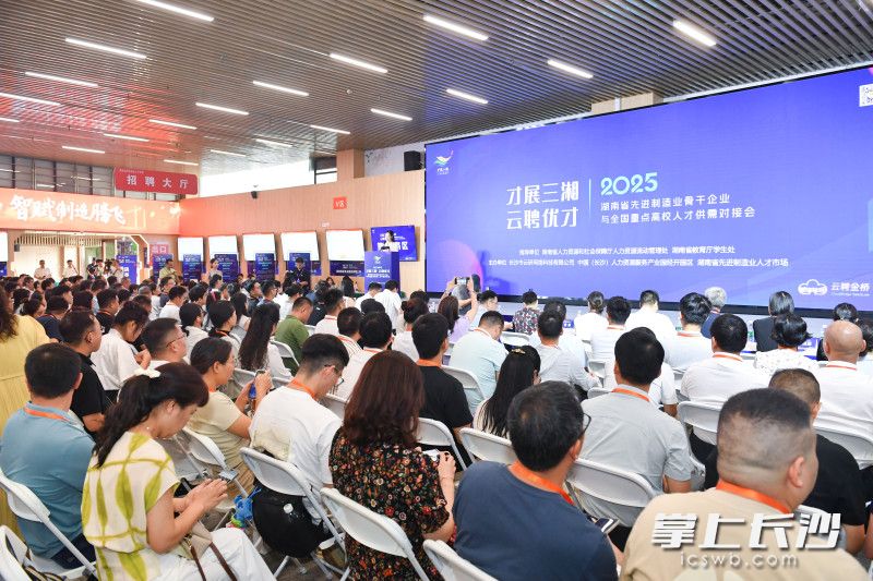 对接会现场。