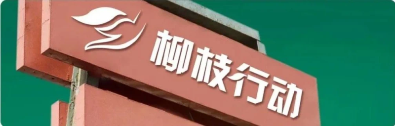 2015年，“柳枝行动”正式启动，为湘江新区创业者助力。均为 通讯员 供图
