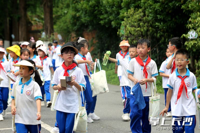 7月29日，省植物园“探密自然 玩转暑假”社会实践活动启动。均为园区供图