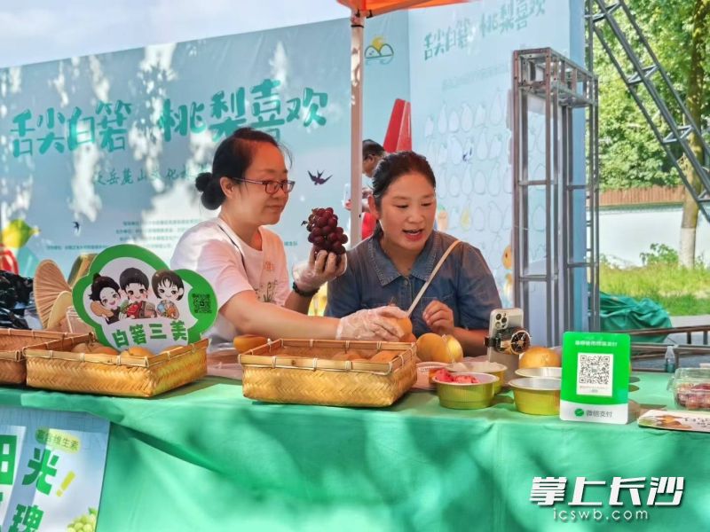 “白箬三美”直播卖水果。