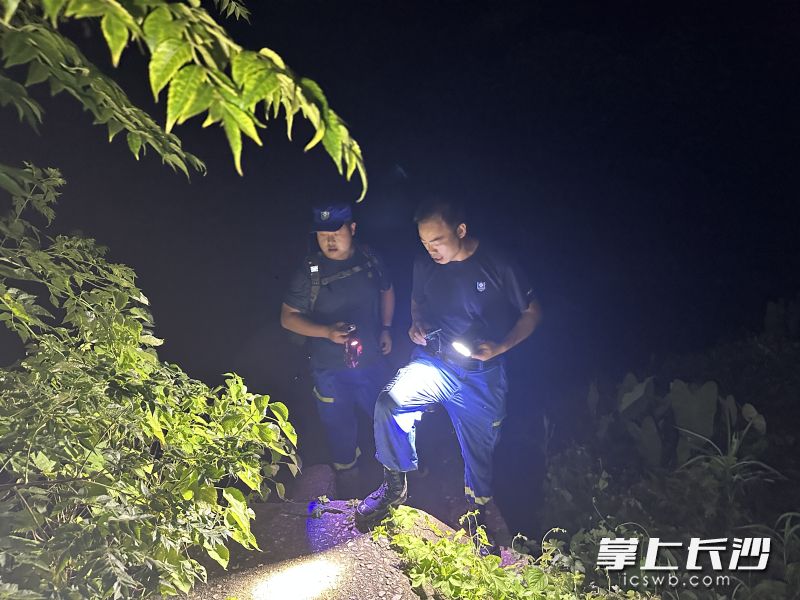 队员们在搜寻中。 均为长沙晚报通讯员 曾劲玉 供图