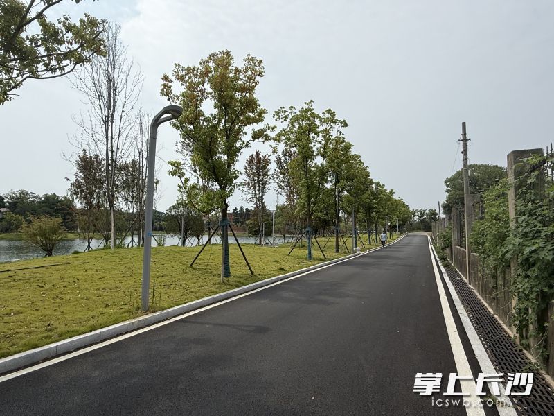 经过一番改造，位于芙蓉区东湖公园旁的军科路变得干净整洁、清清爽爽、景色宜人，附近居民纷纷点赞。长沙晚报全媒体记者 陈焕明 摄