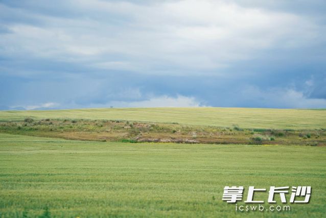 今日在暴雨和高温预警中迎来了三伏天里的“中伏”。 长沙晚报全媒体记者 舒元臻摄