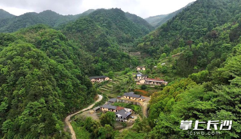 沩山脚下，民房成了民宿。