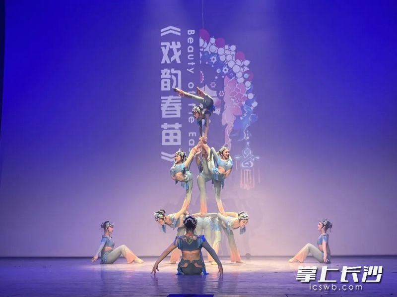 演员贡献精彩表演。均为主办方 供图