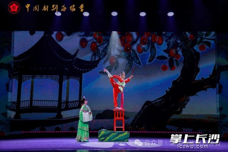 祁剧《打樱桃》中，江彦君饰平儿。