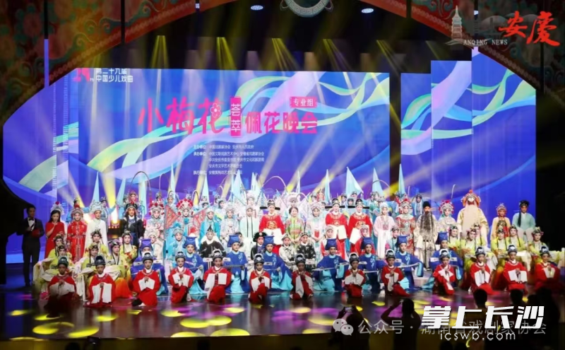 第29届中国少儿戏曲小梅花荟萃专业组佩花晚会现场。 均为通讯员供图