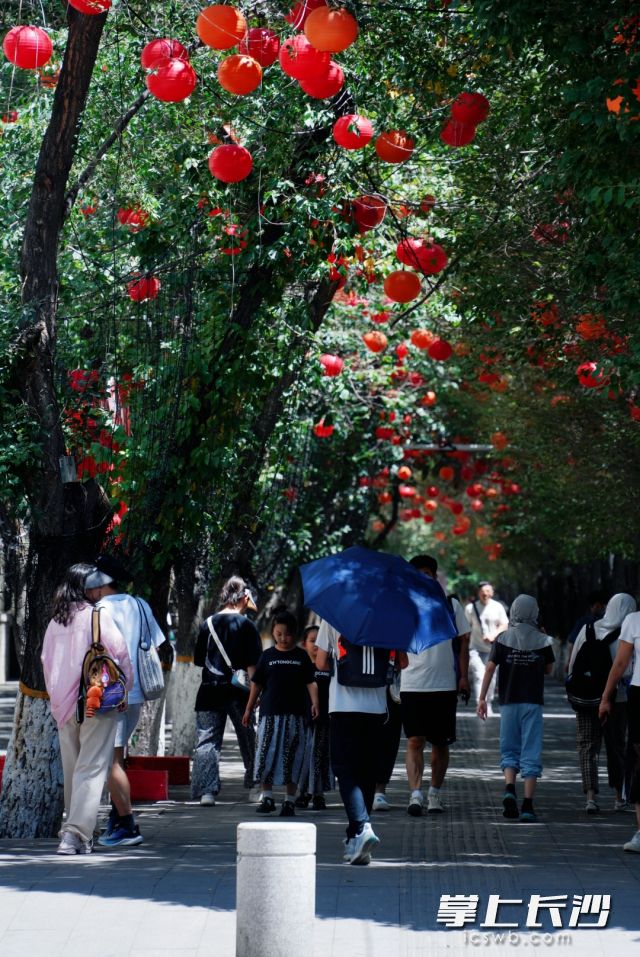 高温持续，今日下午湖南升级发布高温橙色预警。长沙晚报全媒体记者 舒元臻 摄