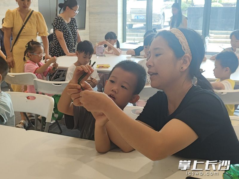 孩子和家长一起动手。