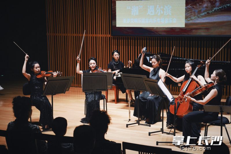 “湘”遇尔滨，长沙交响乐团室内乐专场音乐会现场。均为长沙晚报通讯员朱寒冰摄