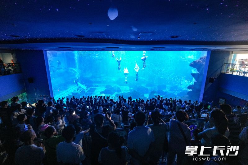 颇受家庭集体出游客群青睐的人鱼表演。大王山旅游度假区供图