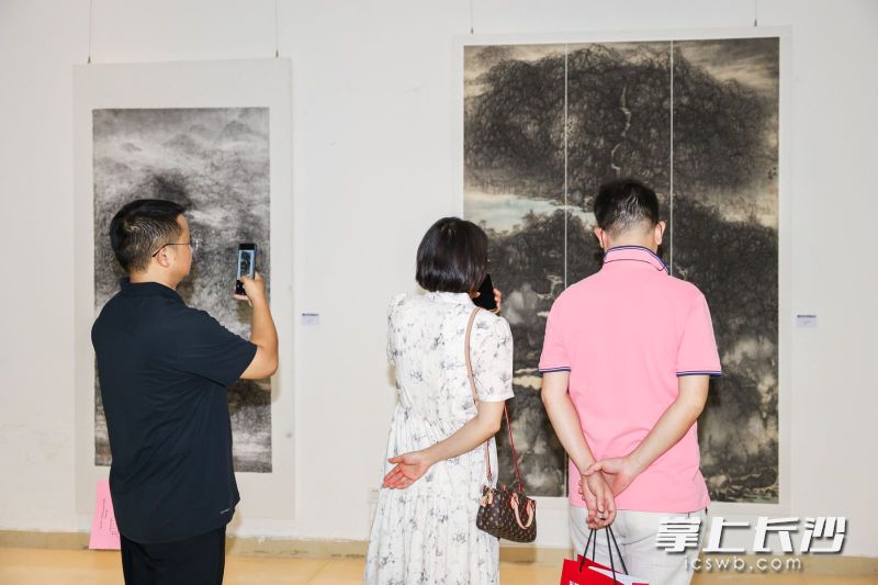 一场名为“追云望山——李楚智山水画艺术作品展”在长沙简牍博物馆高空展厅开幕，引来不少美术家观展。 均为长沙晚报通讯员康艺琼供图