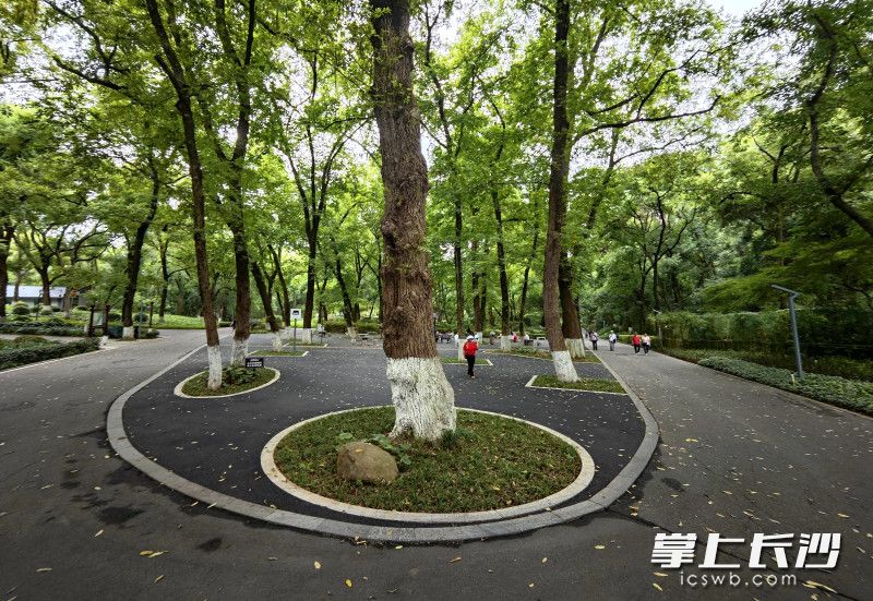 没有大拆大建，却让空间焕发新生。