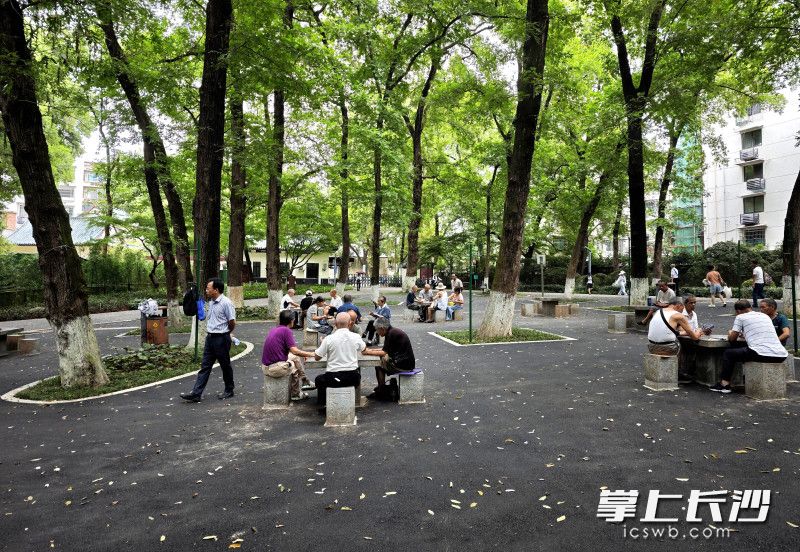 今日，湖南烈士公园北门枫杨林广场区域完成微改造后正式向市民开放。 均为长沙晚报全媒体记者贺文兵摄