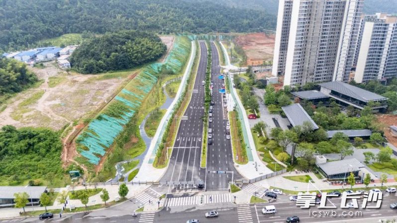 作为梅溪湖未来社区核心道路的紫荆路(泉水路—油松路)已完成建设。 均为长沙晚报通讯员胡翔供图 作为梅溪湖未来社区核心道路的紫荆路(泉水路—油松路)已完成建设。 均为长沙晚报通讯员胡翔供图