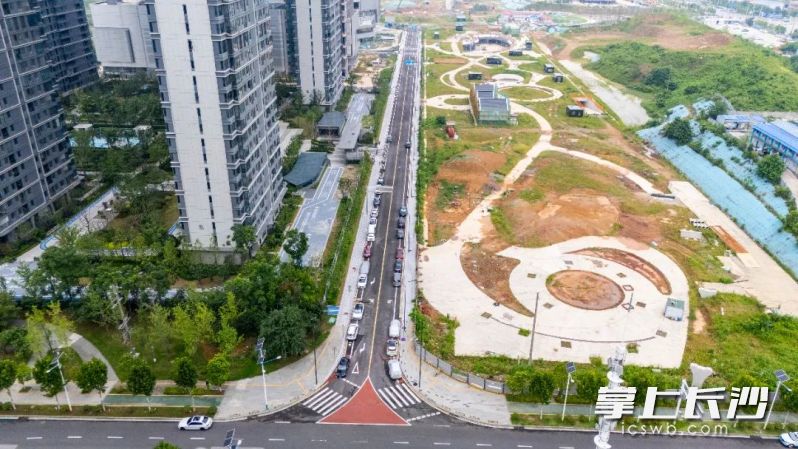 金菊路至听雨路段。 金菊路至听雨路段。
