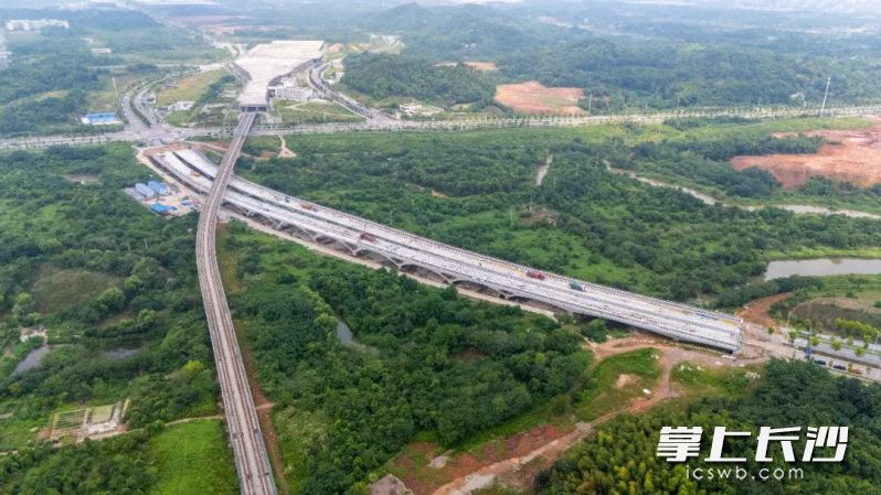 梧桐路三号桥。 梧桐路三号桥。