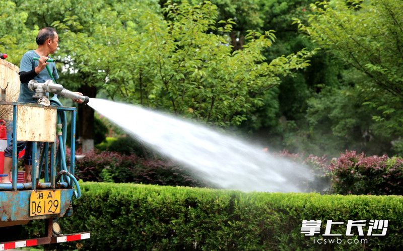 保绿精准到株。