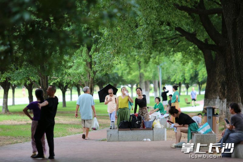 7日，湖南烈士公园吹来丝丝凉风，不少市民在这里游园避暑。 均为长沙晚报全媒体记者贺文兵摄