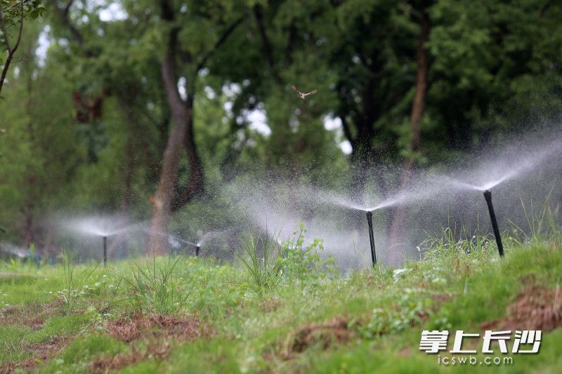 量身定制灌溉方案，确保保绿无死角。