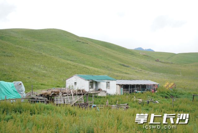 秋风吹雨过南楼,一夜新凉是立秋。8月7日，立秋了！   长沙晚报全媒体记者 舒元臻 摄
