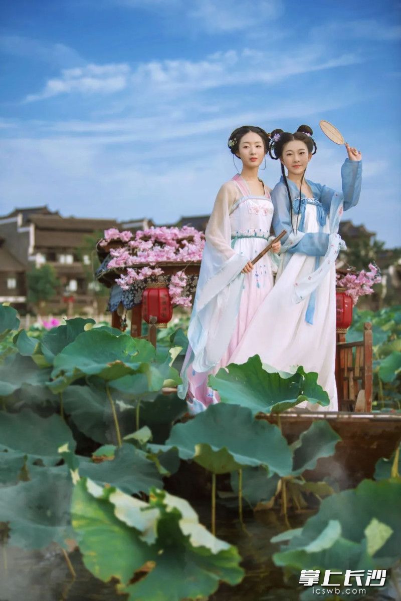 汉服爱好者化身“荷花仙子”，随手一拍便是穿越大片。