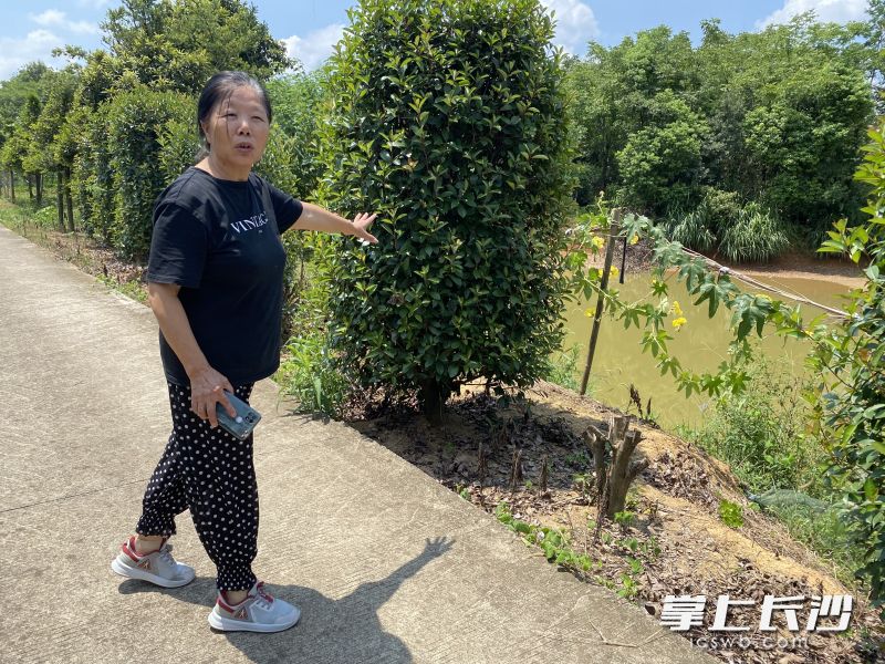 8月5日，周检珍在当年周海斌因勇救落水小学生而牺牲的事发地，介绍当时的情景。