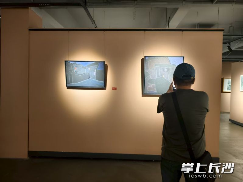 市民观展 均为长沙晚报全媒体记者 宁莎鸥 摄