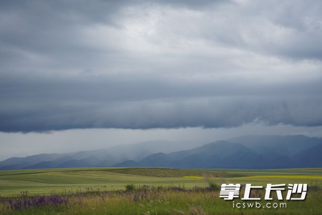 立秋已过，暑热仍盛，湘北部分地区有大到暴雨。 长沙晚报全媒体记者 舒元臻 摄