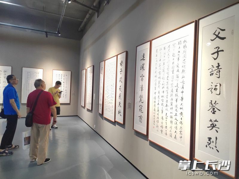 公众在观展。