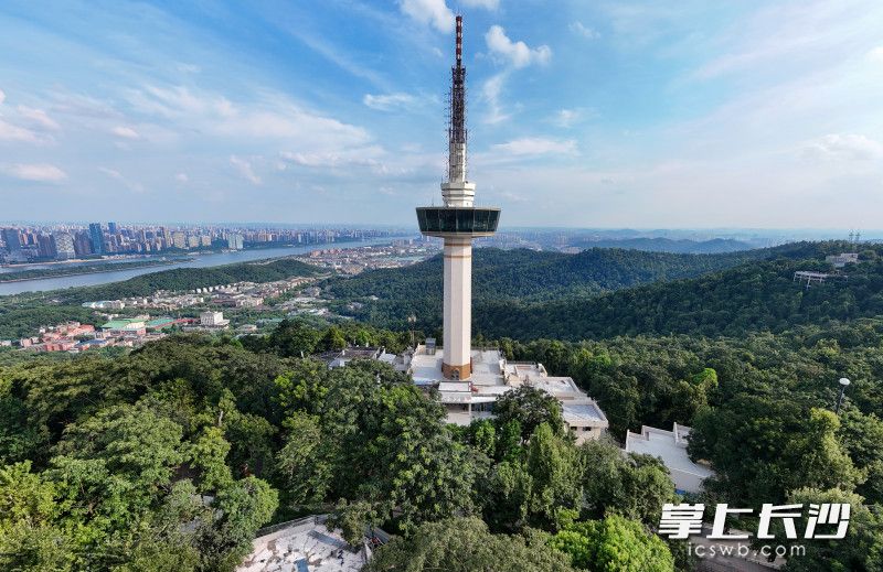 岳麓山上焕然一新的电视发射塔。 均为长沙晚报全媒体记者 郭雨滴 摄