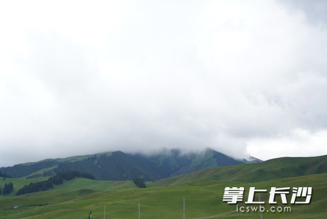 台风“杨柳”已基本“锁定”我国，风雨将逐渐展开。  长沙晚报全媒体记者 舒元臻 摄