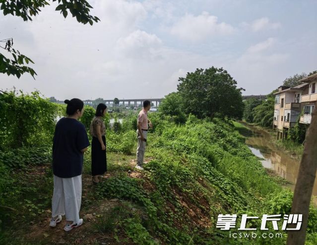 大托铺街道泵站处置后日常巡查情况。